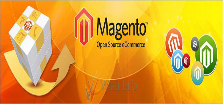 Magento developer