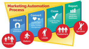 Marketing Automation Software programming