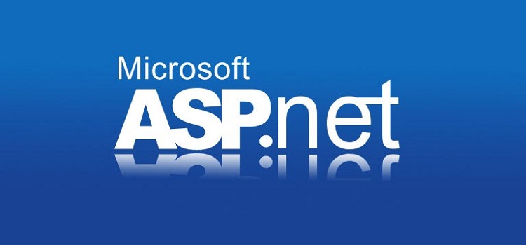 Hire Asp.Net designer Developer