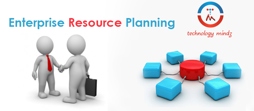 Our counseling groups characterize future ERP methodology, select and plan the frameworks that fit best the association's needs.